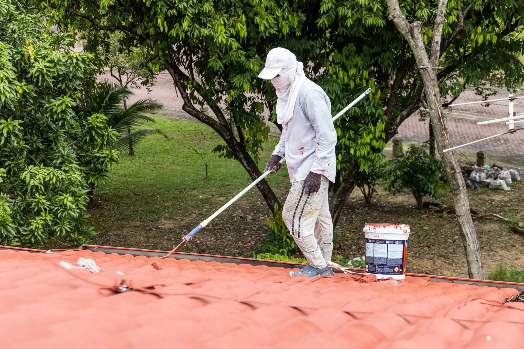 Eco-Friendly Roofing Options
